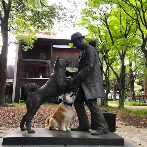 2. A Megható Történet: Hachiko